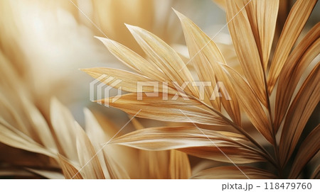 Golden palm leaves illuminated by sunlight in a tranquil outdoor setting during the afternoon 118479760
