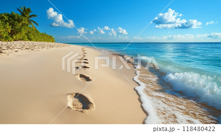 Tranquil beach in a tropical paradise with clear waters and footprints in the sand on a sunny day 118480422