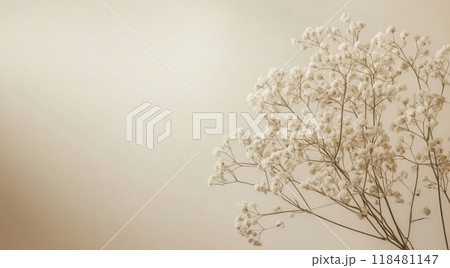 Delicate white flowers arranged gently on a soft beige background, perfect for spring decor Delicate white flowers arranged gently on a soft beige background, perfect for spring decor 118481147