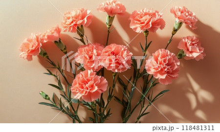A bouquet of vibrant coral carnations arranged against a soft peach background during daylight 118481311
