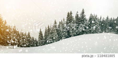 Fairy tale winter landscape. Pine trees with snow and frost on mountain slope lit by bright sun rays on blue sky and falling snowflakes copy space background. Happy New Year and merry Christmas card. Fairy tale winter landscape. Pine trees with snow and frost on mountain slope lit by bright sun rays on blue sky and falling snowflakes copy space background. Happy New Year and merry Christmas card. 118481805