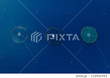 Aerial view of a fish farm with circular containment nets in clear blue water. Aerial view of a fish farm with circular containment nets in clear blue water. 118482441