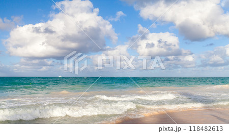 Empty beach, coastal panoramic landscape. Atlantic ocean coast 118482613