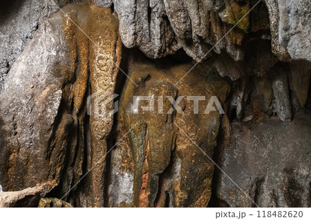 Wall of a cave, background photography taken in national park Los Haitises 118482620