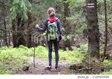 Back view of slim athletic blond tourist hiker girl with stick and backpack walking through lit by sun dense evergreen mountain pine forest. Tourism, traveling, hiking and healthy lifestyle concept. 118483090