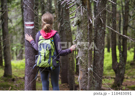 Back view of slim athletic blond tourist hiker girl with stick and backpack walking through lit by sun dense evergreen mountain pine forest. Tourism, traveling, hiking and healthy lifestyle concept. Back view of slim athletic blond tourist hiker girl with stick and backpack walking through lit by sun dense evergreen mountain pine forest. Tourism, traveling, hiking and healthy lifestyle concept. 118483091