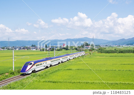 【山形線】田園風景を走行する新幹線つばさ号 118483125