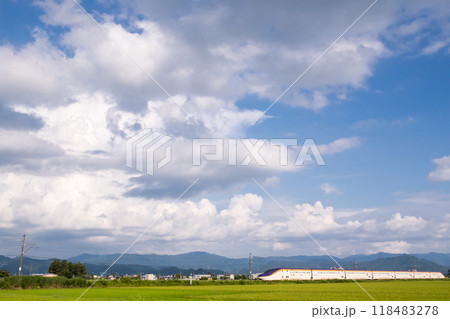 【山形線】田園風景を走行する新幹線つばさ号 【山形線】田園風景を走行する新幹線つばさ号 118483278