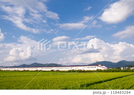 【山形線】田園風景を走行する新幹線つばさ号 【山形線】田園風景を走行する新幹線つばさ号 118483284