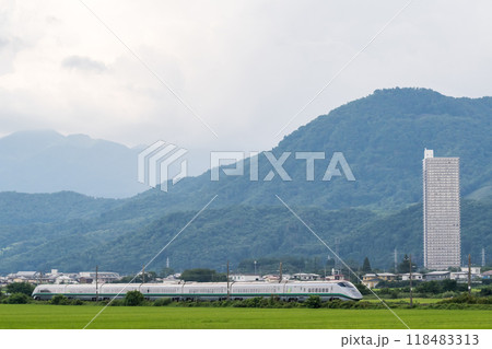 【山形線】田園風景を走行する新幹線つばさ号 118483313