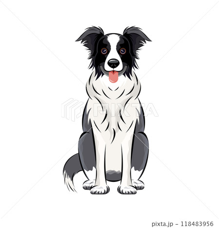 犬｜頭が良くて忠実！優れた運動能力で牧羊犬としても活躍するボーダー・コリーのイラスト 118483956