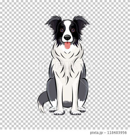 狗|聰明又忠誠！邊境牧羊犬的插圖，它具有出色的運動能力，也被用作牧羊犬。 118483956