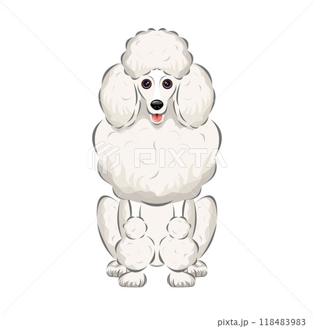 犬|プードルのなかでもっとも大きく、それでいて上品なスタンダード・プードルのイラスト 犬|プードルのなかでもっとも大きく、それでいて上品なスタンダード・プードルのイラスト 118483983