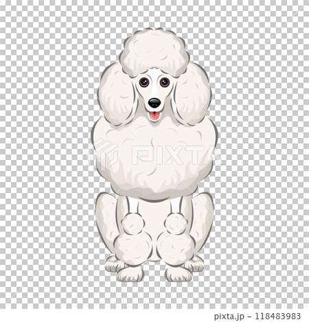 犬|プードルのなかでもっとも大きく、それでいて上品なスタンダード・プードルのイラスト 犬|プードルのなかでもっとも大きく、それでいて上品なスタンダード・プードルのイラスト 118483983