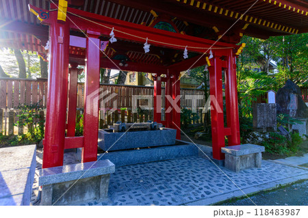 手水舎と秋晴れ陽射し風景「茅葺きの社寺建造物としては唯一の国宝」 青井阿蘇神社(国宝)(人吉市) 手水舎と秋晴れ陽射し風景「茅葺きの社寺建造物としては唯一の国宝」 青井阿蘇神社(国宝)(人吉市) 118483987