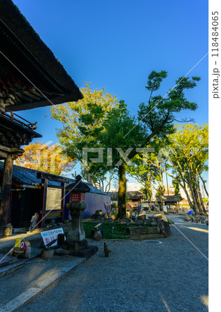 楼門から観える周辺風景 青井阿蘇神社「茅葺きの社寺建造物としては唯一の国宝」青井阿蘇神社(人吉市) 楼門から観える周辺風景 青井阿蘇神社「茅葺きの社寺建造物としては唯一の国宝」青井阿蘇神社(人吉市) 118484065