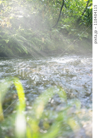 森の清流に光芒が差し込む風景　大山木谷沢渓流 118484115