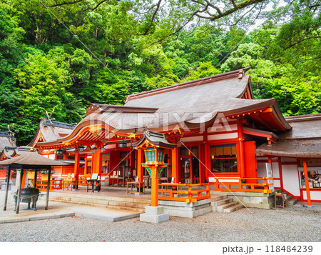 世界遺産　熊野那智大社 118484239