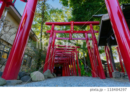境内から観える稲荷神社の鳥居風景「茅葺きの社寺建造物としては唯一国宝の青井阿蘇神社」(人吉市) 境内から観える稲荷神社の鳥居風景「茅葺きの社寺建造物としては唯一国宝の青井阿蘇神社」(人吉市) 118484297