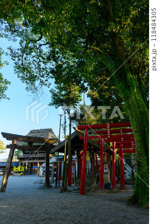 境内から観える楼門と稲荷神社鳥居風景「茅葺きの社寺建造物としては唯一国宝の青井阿蘇神社」(人吉市) 境内から観える楼門と稲荷神社鳥居風景「茅葺きの社寺建造物としては唯一国宝の青井阿蘇神社」(人吉市) 118484305