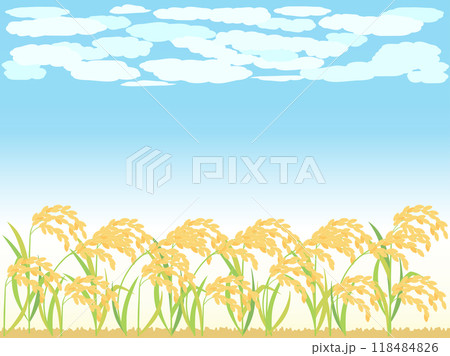 青空と稲・稲穂の秋の背景イラスト 青空と稲・稲穂の秋の背景イラスト 118484826
