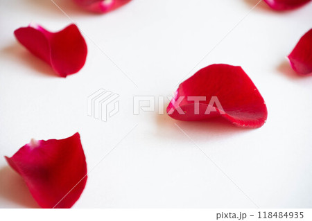 薔薇の花びら 薔薇の花びら 118484935
