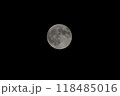 月 118485016