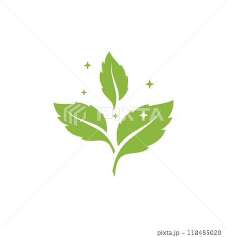 Fresh Mint Leaf Vector Illustration. Healthy Eating, Sweet Food Fresh Mint Leaf Vector Illustration. Healthy Eating, Sweet Food 118485020