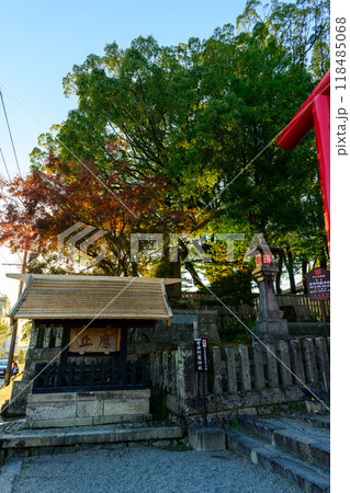 境内鳥居前周辺風景「茅葺きの社寺建造物としては唯一の国宝」 青井阿蘇神社(国宝)(人吉市) 境内鳥居前周辺風景「茅葺きの社寺建造物としては唯一の国宝」 青井阿蘇神社(国宝)(人吉市) 118485068