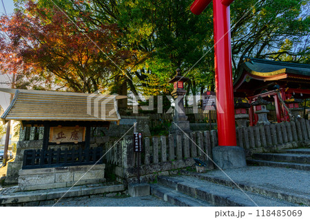 境内鳥居前周辺風景「茅葺きの社寺建造物としては唯一の国宝」 青井阿蘇神社(国宝)(人吉市) 境内鳥居前周辺風景「茅葺きの社寺建造物としては唯一の国宝」 青井阿蘇神社(国宝)(人吉市) 118485069