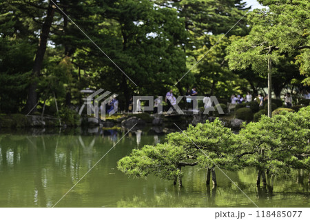 緑が美しい兼六園の初夏 118485077