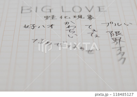 若者の中の流行りの言葉を書き出している　ネットで使われる2024年にはやった言葉 118485127