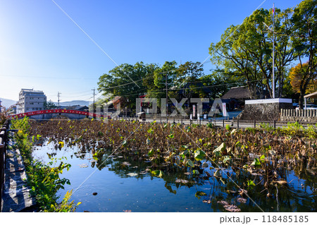 禊橋から観える風景(青井阿蘇神社)「茅葺きの社寺建造物としては唯一の国宝」　青井阿蘇神社(人吉市) 118485185