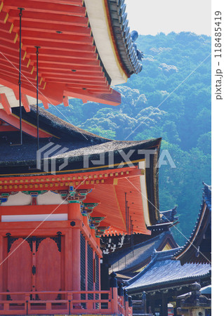 京都　夏の清水寺 118485419