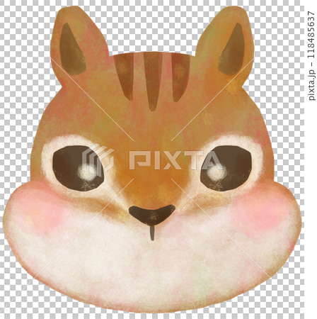 可愛的松鼠插畫臉 118485637