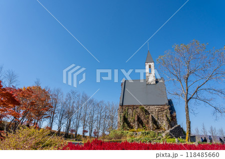 岐阜県郡上市　秋のひるがの高原牧歌の里の花畑の向こうに見える教会 118485660