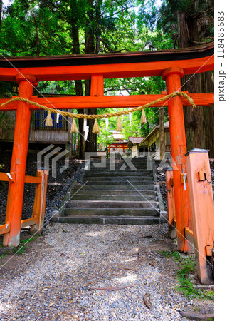 丹内山神社三之鳥居（縦） 118485683