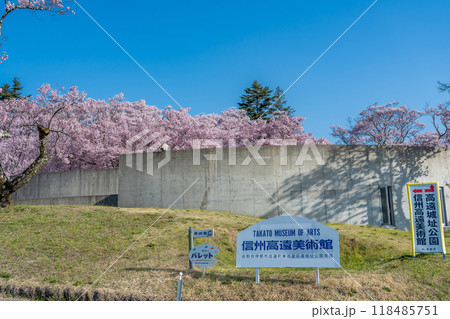 長野県伊那市 天下第一の桜と言われる高遠城址公園の信州高遠美術館の入り口付近 長野県伊那市 天下第一の桜と言われる高遠城址公園の信州高遠美術館の入り口付近 118485751