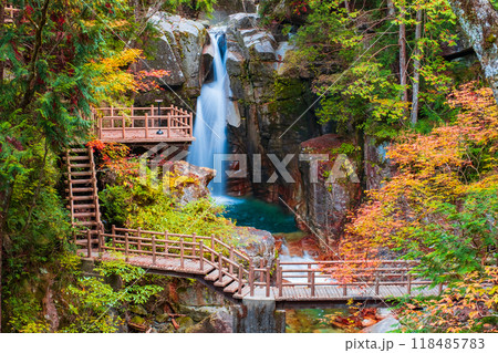 夕森渓谷（秋） 118485783