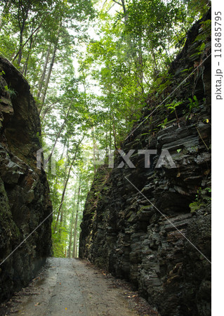 珍布峠　【三重県松阪市飯高町】 118485795