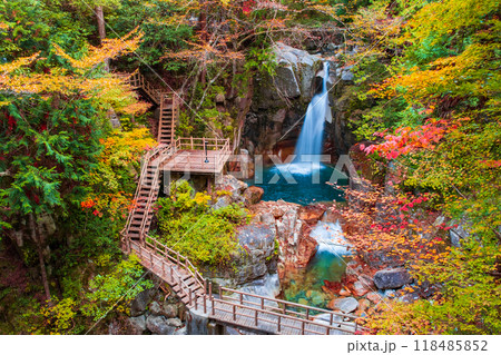 夕森渓谷(秋) 夕森渓谷(秋) 118485852