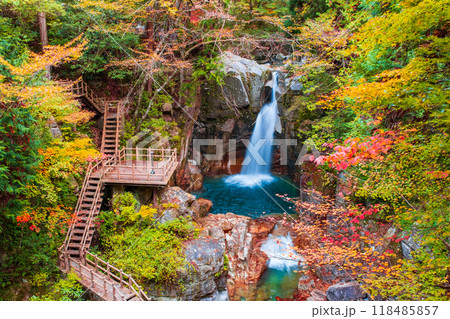 夕森渓谷(秋) 夕森渓谷(秋) 118485857