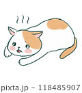 熱中症に注意の猫 118485907
