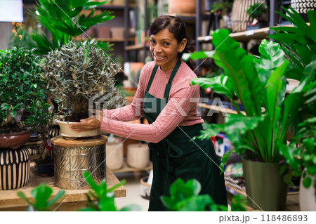 Portrait of latino woman owner flower shop with potted plants in her hands 118486893