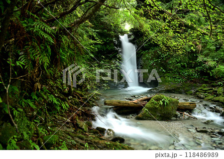 西又口滝　【三重県松阪市飯高町】 118486989