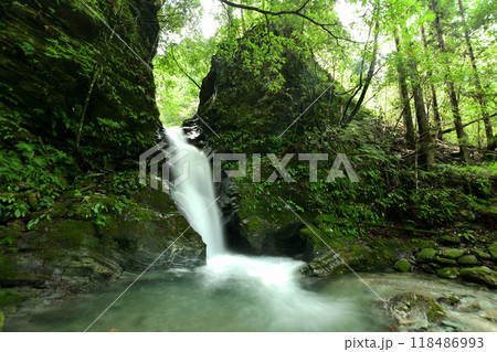 西又口滝　【三重県松阪市飯高町】 118486993