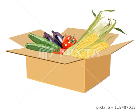 野菜詰め合わせ（夏野菜） 118487015