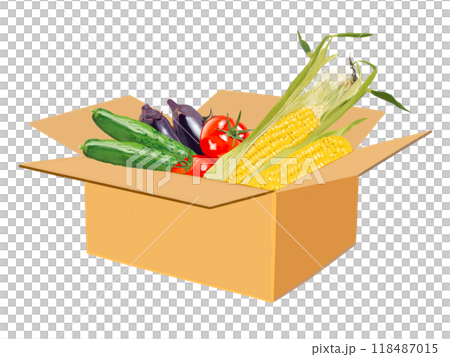 野菜詰め合わせ（夏野菜） 118487015