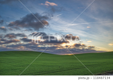 Beautiful rural landscape with green rolling fields under a dramatic sky at sunset Beautiful rural landscape with green rolling fields under a dramatic sky at sunset 118487134