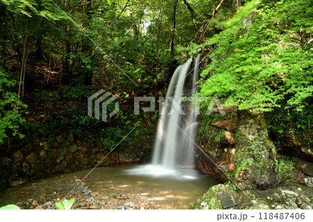 大石不動滝(夫婦の滝) 【三重県松阪市大石町】 大石不動滝(夫婦の滝) 【三重県松阪市大石町】 118487406